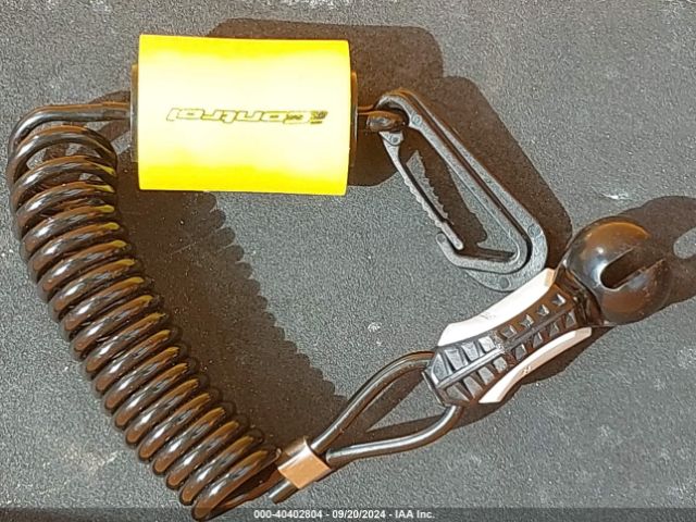 2017 SEADOO OTHER YDV46055C717      Photo 10