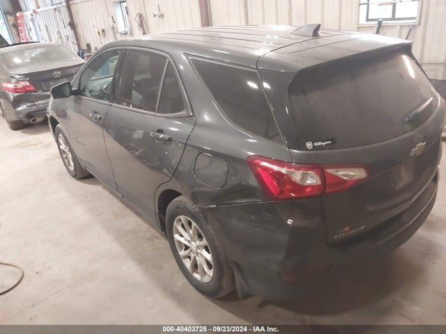 Chevrolet EQUINOX LS 2019 2GNAXSEV1K6256231 Image 3