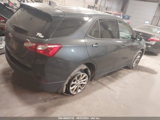 Chevrolet EQUINOX LS 2019 2GNAXSEV1K6256231 Image 4