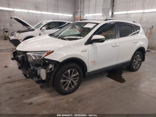 JTMRJREVXGD029151 Toyota Rav4 Hybrid Xle