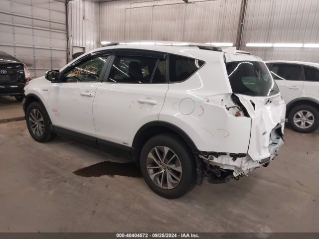JTMRJREVXGD029151 Toyota Rav4 Hybrid Xle