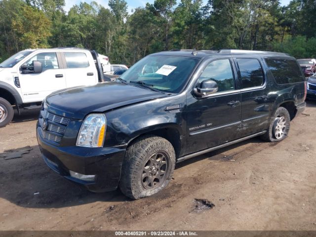 1GYS3JEF0ER235207 Cadillac Escalade Esv Premium