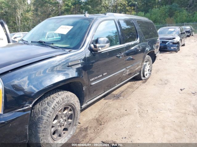 1GYS3JEF0ER235207 Cadillac Escalade Esv Premium