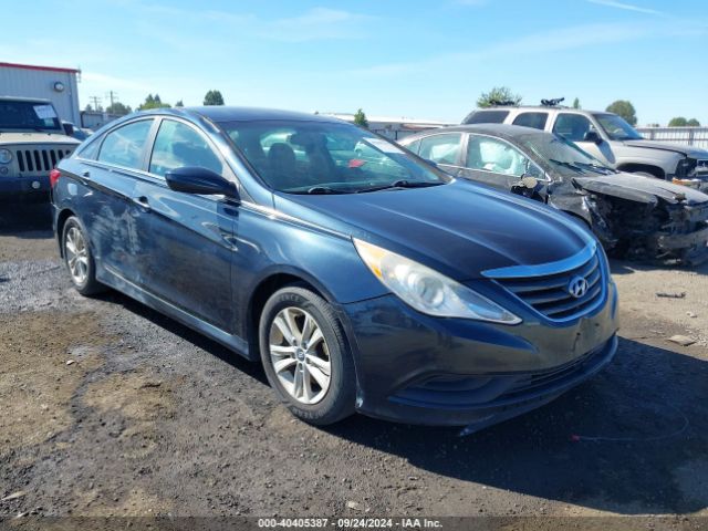 Hyundai SONATA GLS 2014 5NPEB4AC6EH840925 Image 1