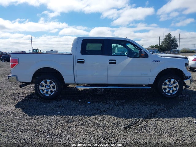 Ford F-150 Xlt 2014 1FTFW1ET0EFB70414 Image 13