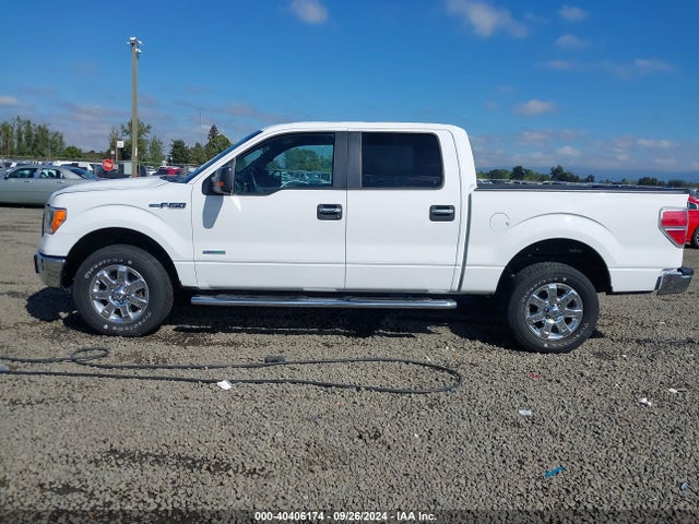 Ford F-150 Xlt 2014 1FTFW1ET0EFB70414 Image 14