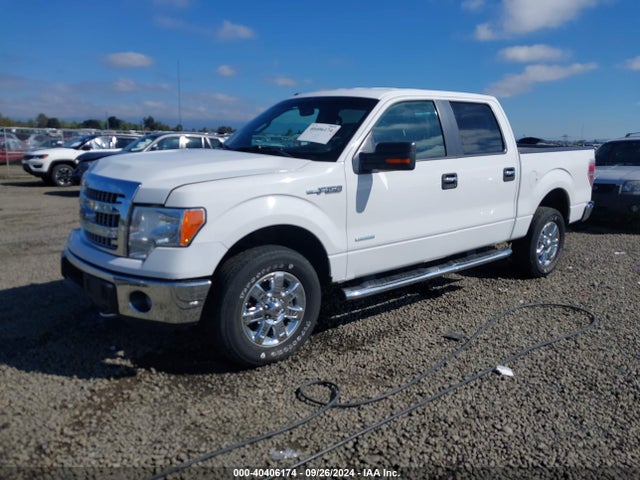 Ford F-150 Xlt 2014 1FTFW1ET0EFB70414 Image 2