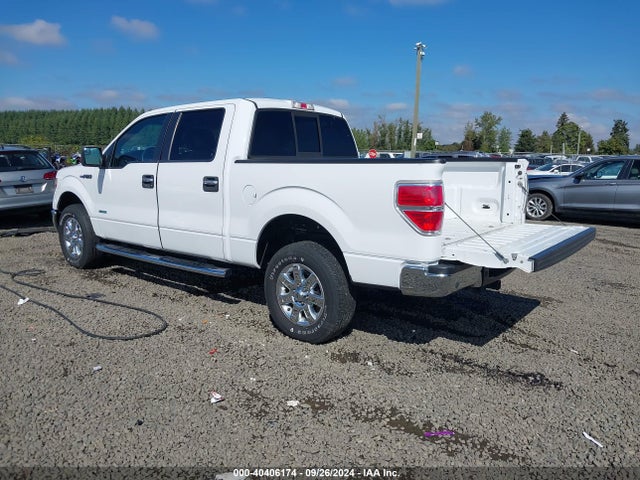 Ford F-150 Xlt 2014 1FTFW1ET0EFB70414 Image 3