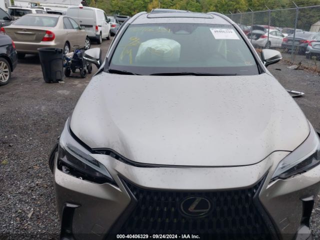 2T2GGCEZ1NC005185 Lexus Nx 350 Premium
