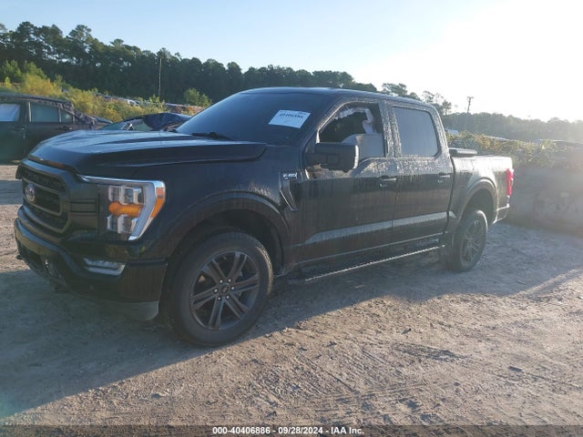 1FTFW1E56MFC60828 Ford F-150 Xlt