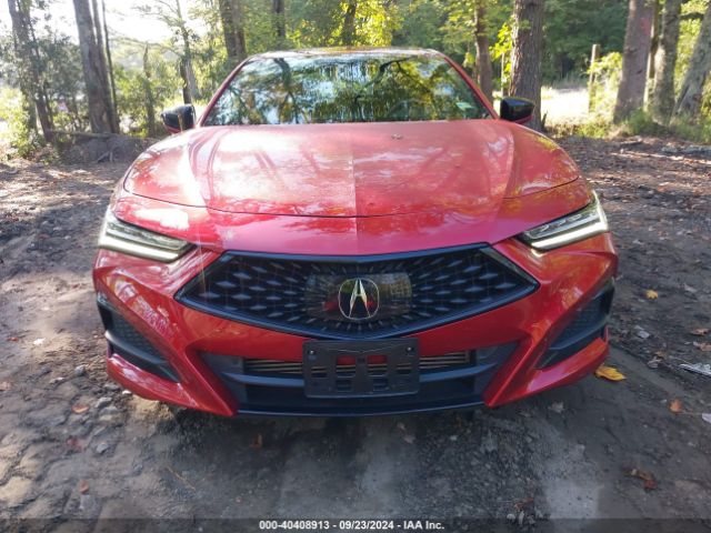 19UUB6F56MA010325 Acura Tlx A-spec Package