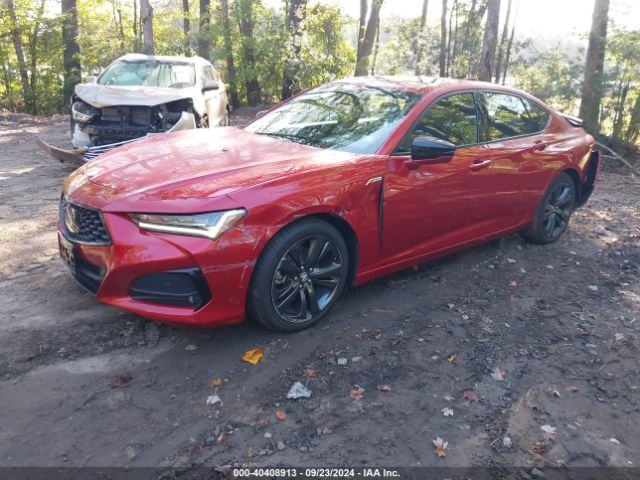 19UUB6F56MA010325 Acura Tlx A-spec Package