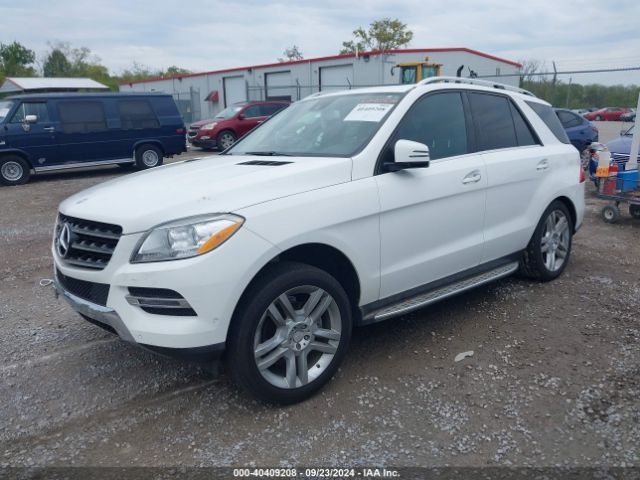 4JGDA5JB9FA593450 Mercedes-Benz ML 350