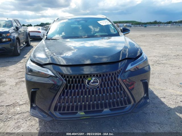 2T2GDCAZ6RC007504 Lexus Nx 250 Premium
