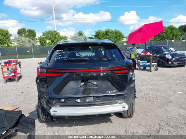 2T2GDCAZ6RC007504 Lexus Nx 250 Premium