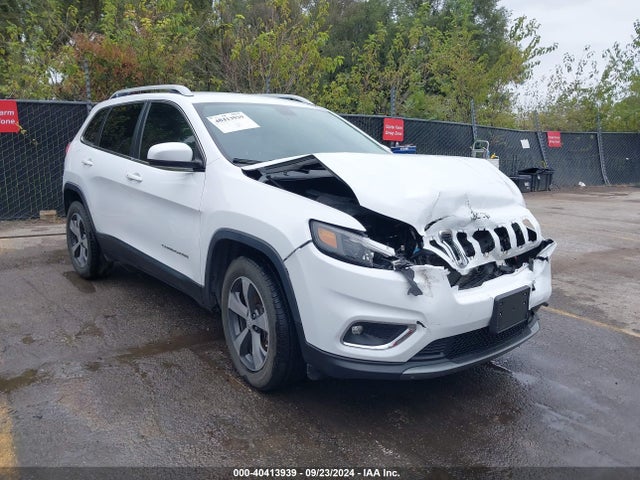 Jeep Cherokee Limited 4x4 2019 1C4PJMDX3KD186400 Image 1
