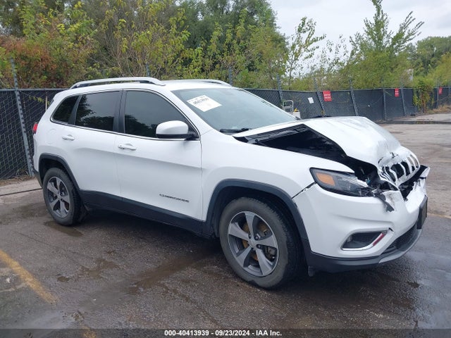 Jeep Cherokee Limited 4x4 2019 1C4PJMDX3KD186400 Image 13