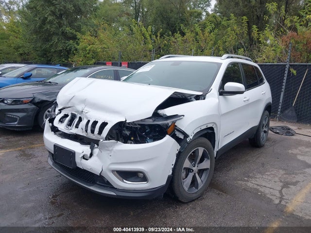 Jeep Cherokee Limited 4x4 2019 1C4PJMDX3KD186400 Image 2