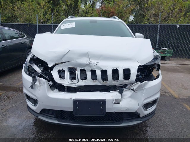 Jeep Cherokee Limited 4x4 2019 1C4PJMDX3KD186400 Image 6