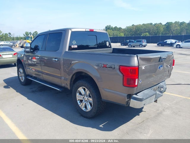 Ford F-150 Xlt 2019 1FTEW1EP0KKC25204 Image 3