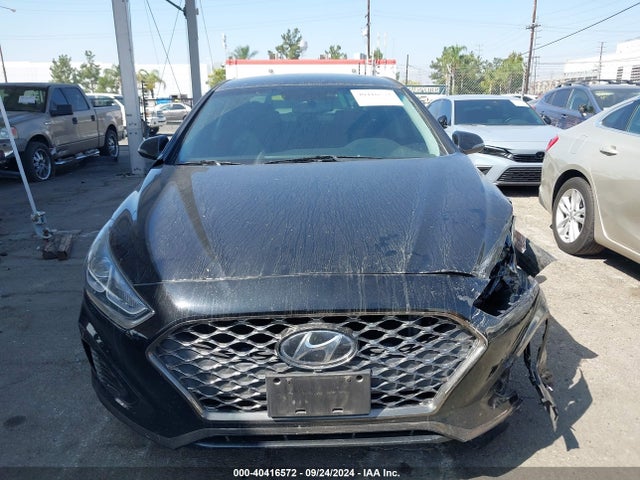 Hyundai SONATA SEL 2019 5NPE34AF8KH767611 Image 12