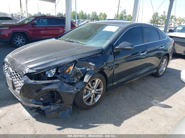 Hyundai SONATA SEL 2019 5NPE34AF8KH767611 Image 2