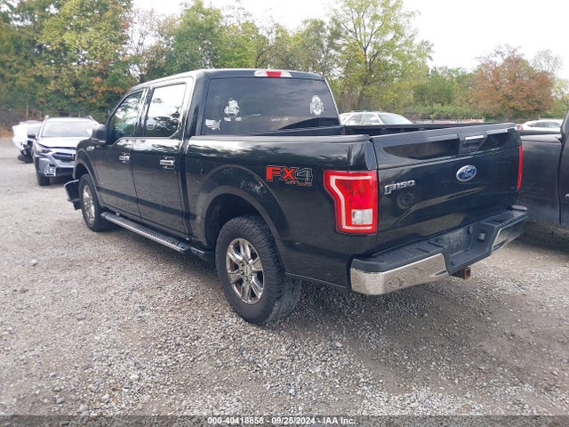 Ford F-150 Xlt 2016 1FTEW1EP5GFB96539 Image 3