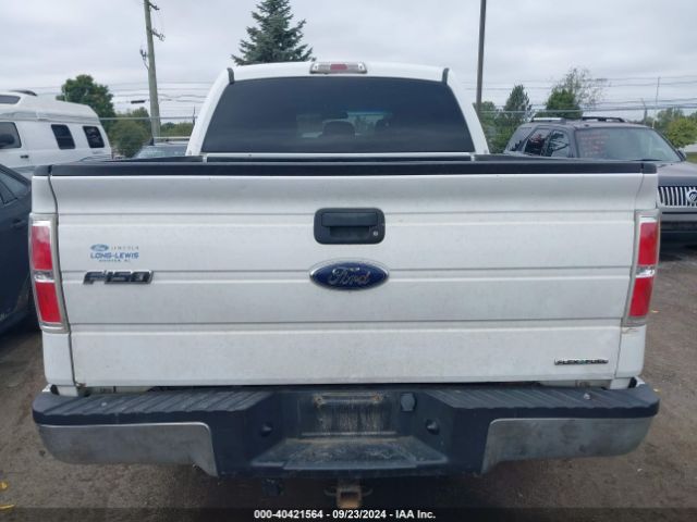 1FTFW1EF3EFB32363 Ford F-150 Xlt