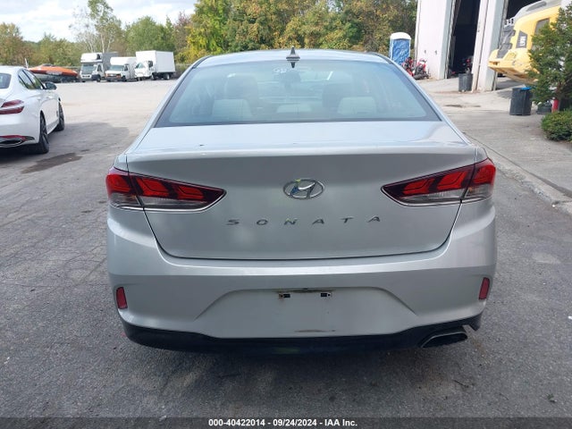 Hyundai SONATA SEL 2019 5NPE34AF4KH771042 Image 16