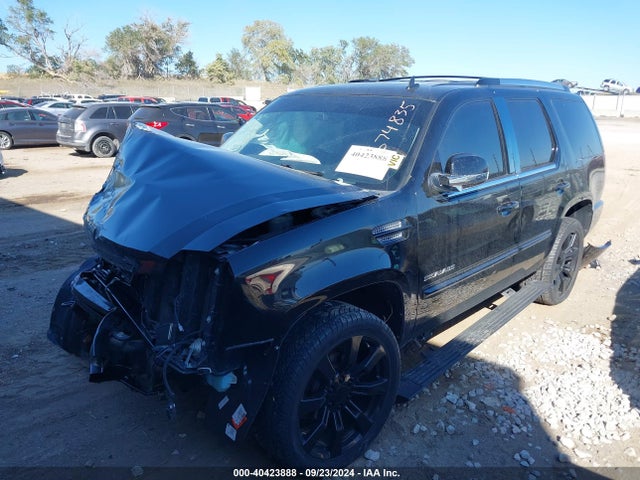 2012 CADILLAC ESCALADE 1GYS4CEF4CR286893 Photo 1