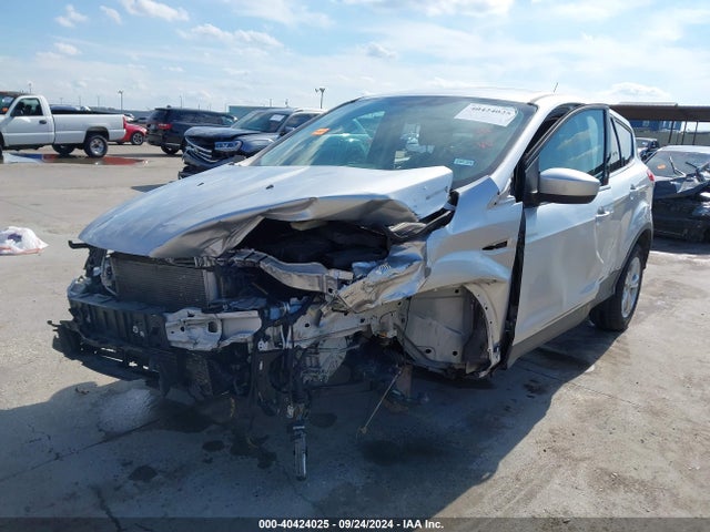 Ford ESCAPE SE 2014 1FMCU0GX6EUE38599 Image 2