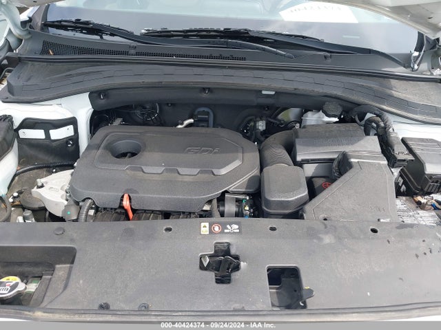 Hyundai Santa Fe Sel 2020 5NMS3CAD1LH215233 Image 10