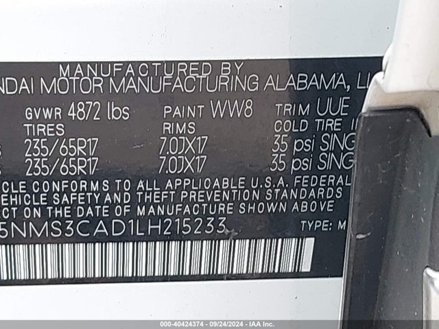 Hyundai Santa Fe Sel 2020 5NMS3CAD1LH215233 Image 9