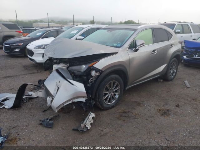JTJBARBZ1J2161563 Lexus NX 300