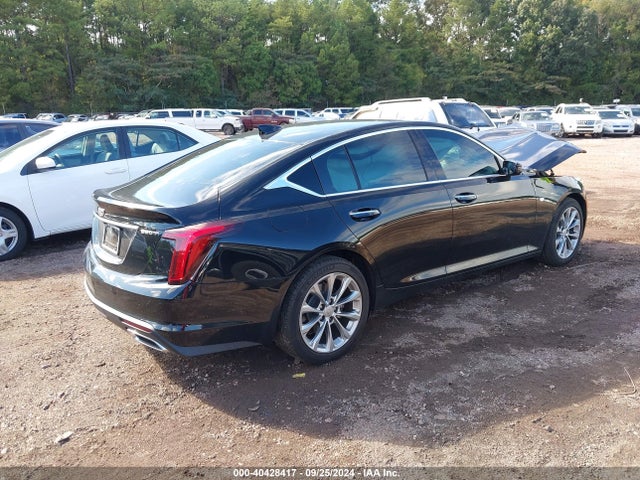 1G6DN5RK3M0136703 Cadillac Ct5 Premium Luxury