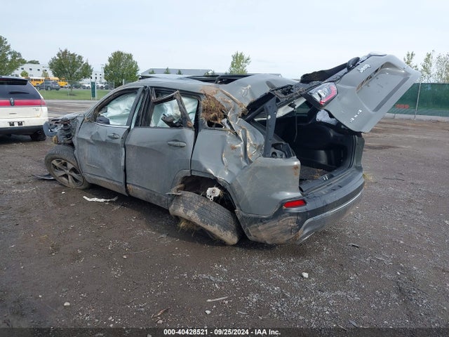 Jeep Cherokee Limited 4x4 2021 1C4PJMDX6MD171764 Image 3