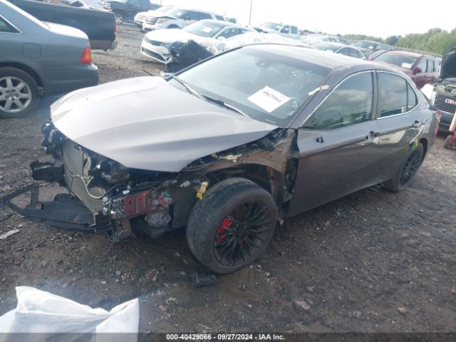 4T1G11AK3LU976090 Toyota CAMRY SE