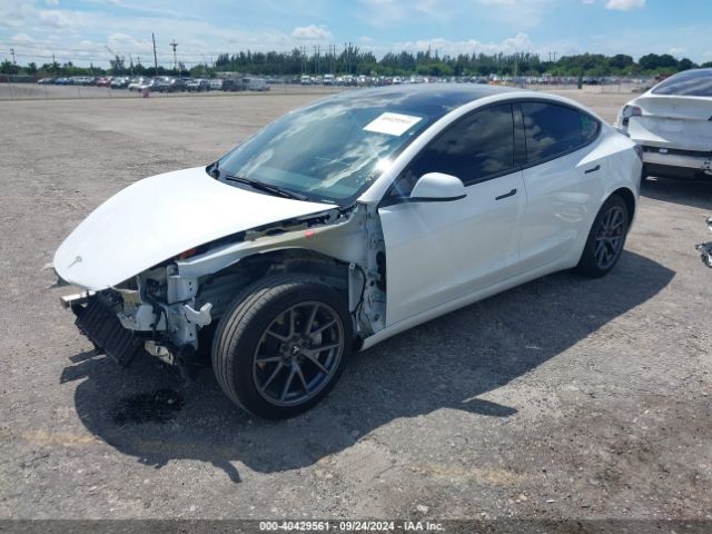 2023 TESLA MODEL 3 5YJ3E1EA7PF564407 Photo 1