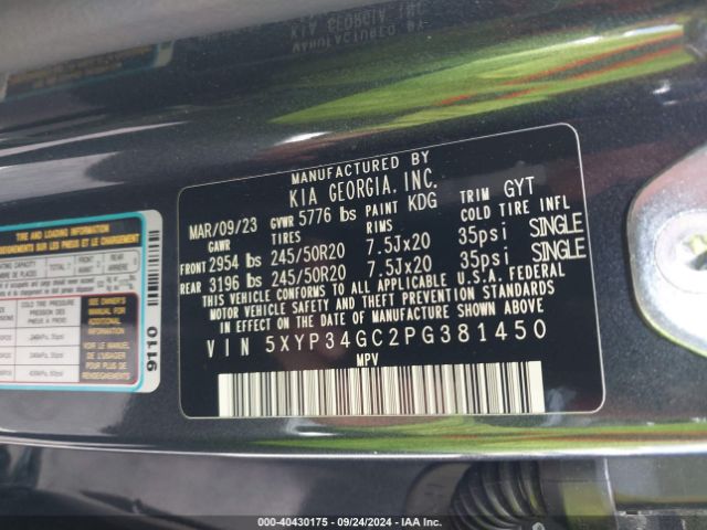 5XYP34GC2PG381450 KIA Telluride Ex