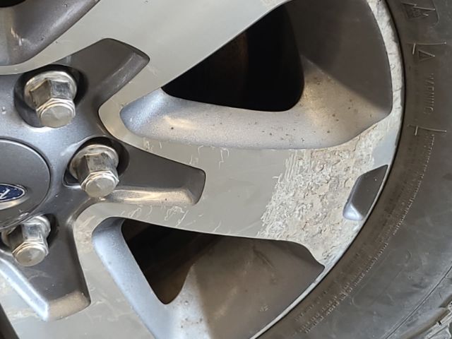 1FTFX1E5XKKD17372 Ford F-150 Xl