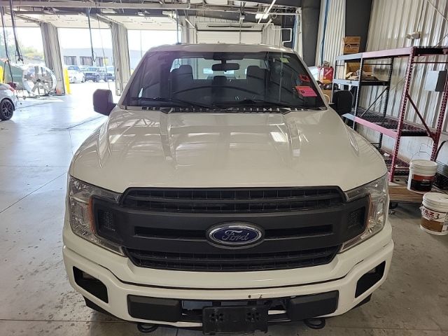 1FTFX1E5XKKD17372 Ford F-150 Xl