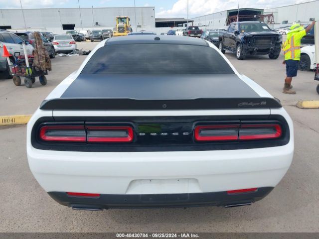 2C3CDZBT7LH243113 Dodge Challenger R/t
