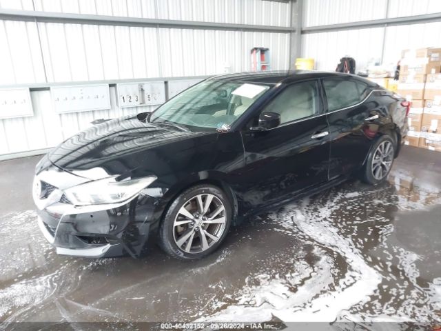 1N4AA6AP9GC433797 Nissan Maxima 3.5 Platinum/3.5 S/3.5 Sl/3.5 Sr/3.5 Sv