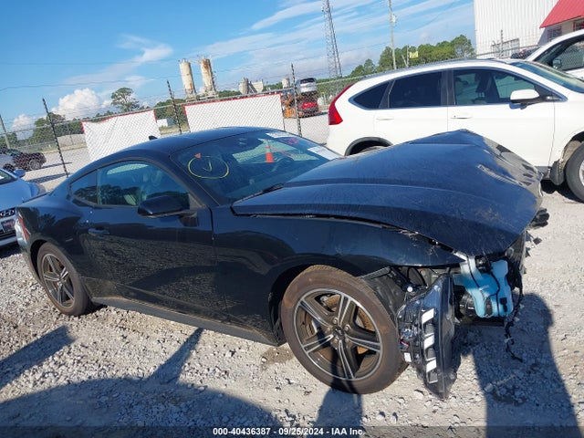 Ford Mustang Ecoboost Premium Fastback 2024 1FA6P8TH1R5117596 Image 13