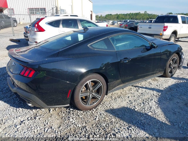 Ford Mustang Ecoboost Premium Fastback 2024 1FA6P8TH1R5117596 Image 4