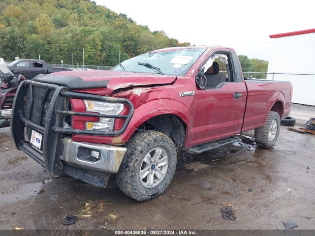 Ford F-150 Xlt 2017 1FTMF1EF5HKE08433 Image 2