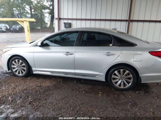 5NPE34AF5FH083640 Hyundai Sonata Sport