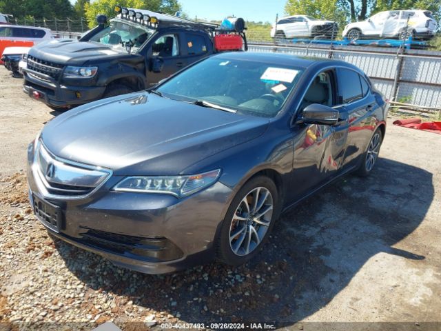 19UUB3F59FA002303 Acura Tlx V6 Tech
