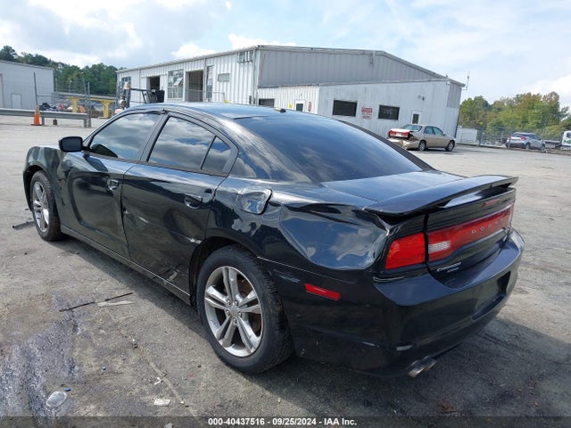 Dodge Charger R/t Max 2014 2C3CDXDT5EH138235 Image 3