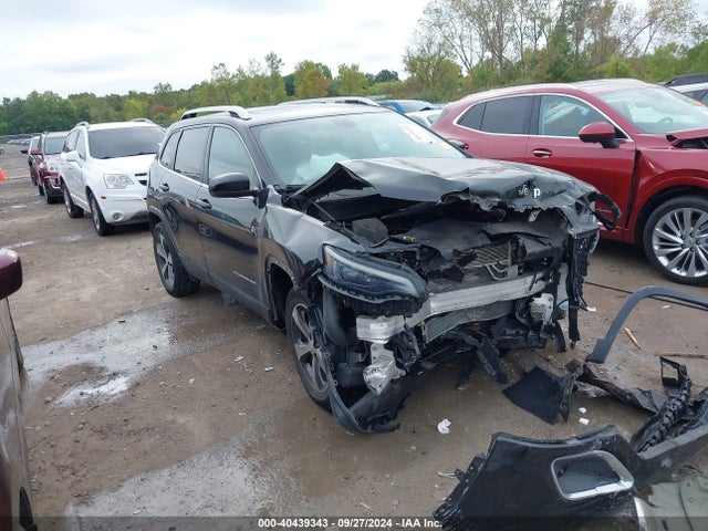 Jeep Cherokee Limited 4x4 2019 1C4PJMDX7KD394330 Image 1